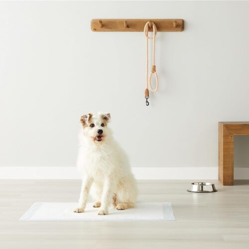Amazon Basics Dog and Puppy Pee Pads with Leak-Proof Quick-Dry Design for Potty Training, Standard Absorbency, Regular Size, 22 x 22 Inches, Pack of 100, Blue & White - Image 14