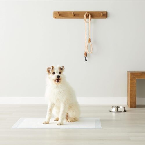 Amazon Basics Dog and Puppy Pee Pads with Leak-Proof Quick-Dry Design for Potty Training, Standard Absorbency, Regular Size, 22 x 22 Inches, Pack of 100, Blue & White - Image 21