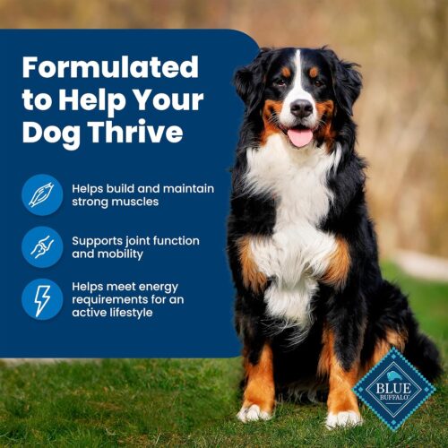 Blue Buffalo Life Protection Formula Adult Dry Dog Food, Helps Build and Maintain Strong Muscles, Made with Natural Ingredients, Chicken & Brown Rice Recipe, 30-lb. Bag - Image 50