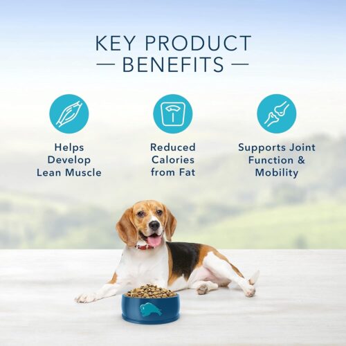 Blue Buffalo Life Protection Formula Adult Dry Dog Food, Helps Build and Maintain Strong Muscles, Made with Natural Ingredients, Chicken & Brown Rice Recipe, 30-lb. Bag - Image 120