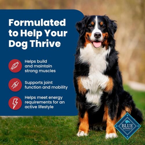 Blue Buffalo Life Protection Formula Adult Dry Dog Food, Helps Build and Maintain Strong Muscles, Made with Natural Ingredients, Chicken & Brown Rice Recipe, 30-lb. Bag - Image 201