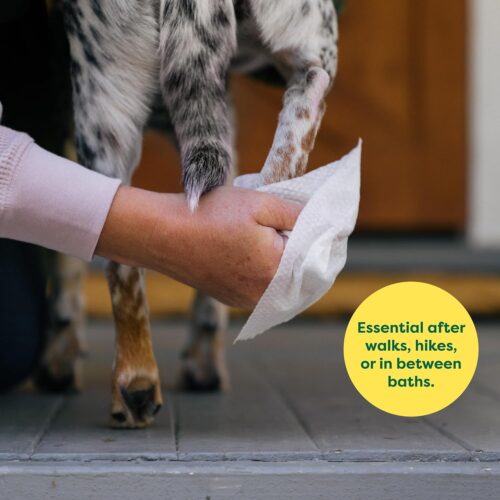 Earth Rated Pet Grooming Wipes for Dogs and Cats, Hypoallergenic, Cleaning and Hydrating, for Paws, Body and Butt, Unscented, 100 Count - Image 3