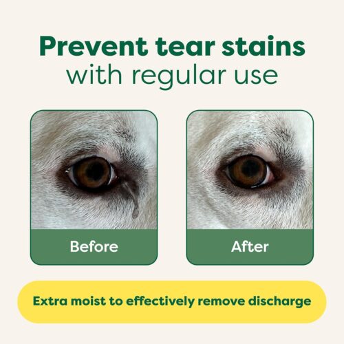 Earth Rated Pet Grooming Wipes for Dogs and Cats, Hypoallergenic, Cleaning and Hydrating, for Paws, Body and Butt, Unscented, 100 Count - Image 28
