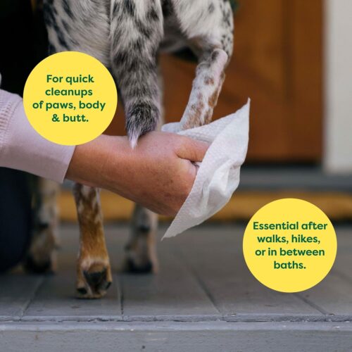 Earth Rated Pet Grooming Wipes for Dogs and Cats, Hypoallergenic, Cleaning and Hydrating, for Paws, Body and Butt, Unscented, 100 Count - Image 55