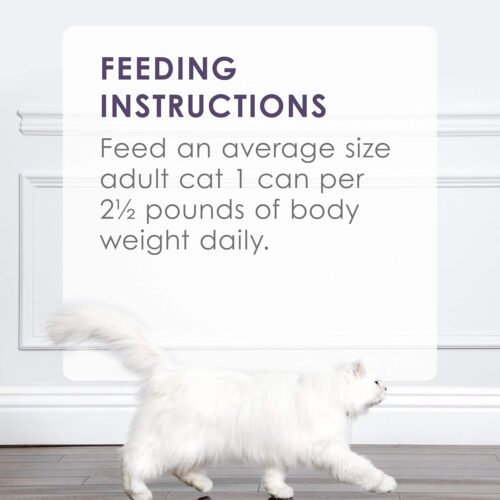 Fancy Feast Poultry and Beef Feast Classic Pate Collection Grain Free Wet Cat Food Variety Pack - (Pack of 30) 3 oz. Cans - Image 117