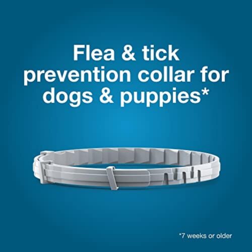 Seresto Large Dog Vet-Recommended Flea & Tick Treatment & Prevention Collar for Dogs Over 18 lbs. | 8 Months Protection - Image 4