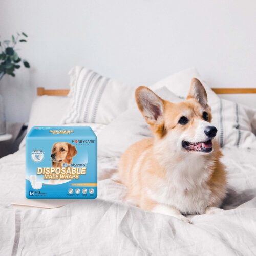 HONEY CARE All-Absorb A26 Male Dog Wrap, 50 Count, Small - Image 17