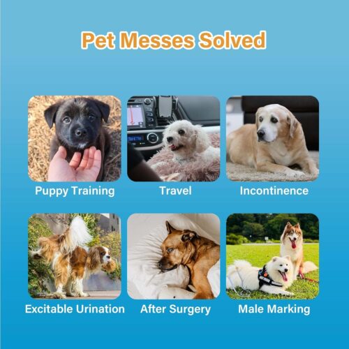 HONEY CARE All-Absorb A26 Male Dog Wrap, 50 Count, Small - Image 18