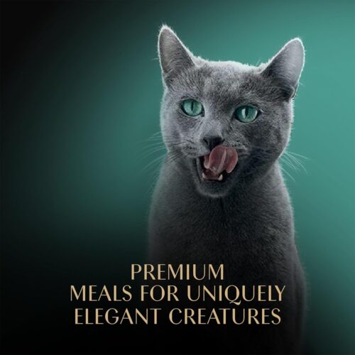 Sheba Perfect Portions Wet Cat Food Cuts in Gravy Variety Pack, Roasted Chicken Entree, With Sustainable Salmon, and Tender Turkey Entree, 2.6 oz. Twin-Pack Trays (24 Count, 48 Servings) - Image 102