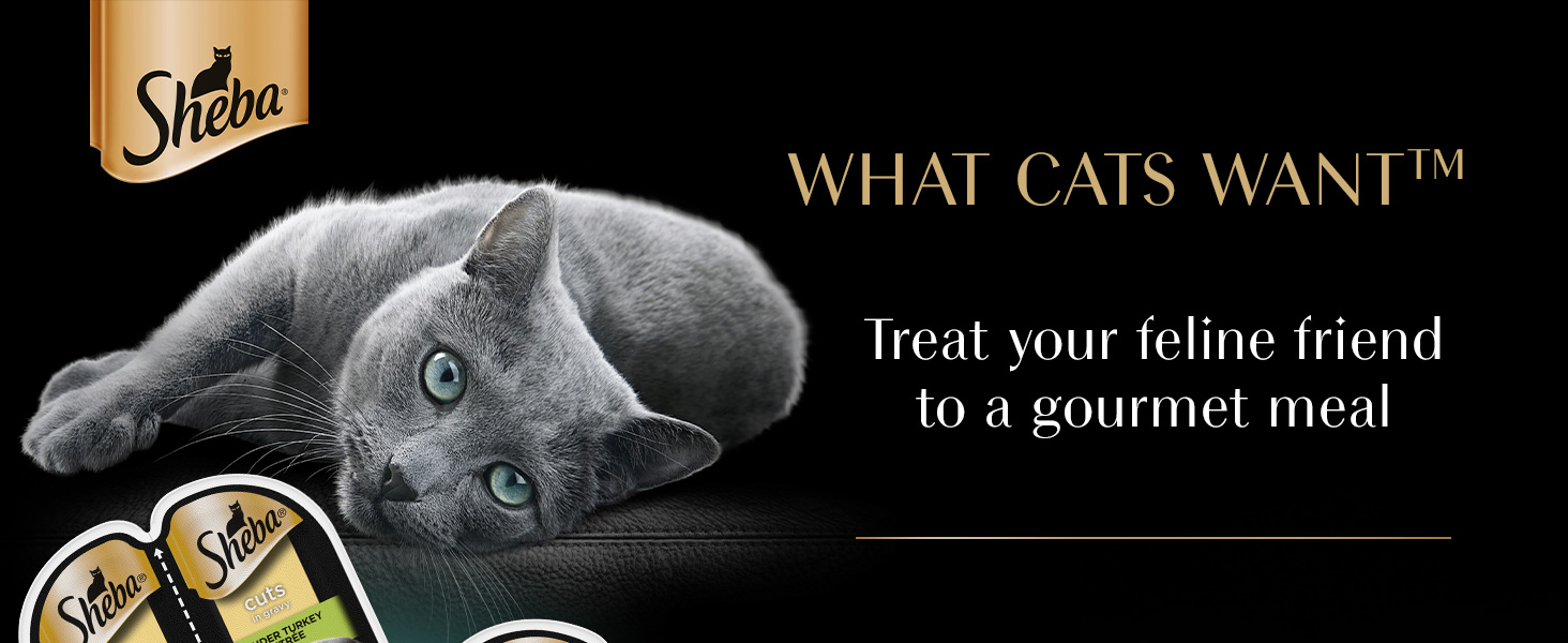Sheba cuts in gravy wet cat food
