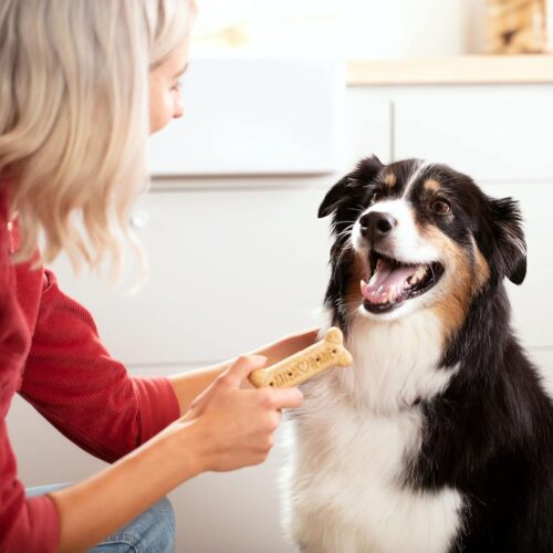 Milk-Bone Original Dog Treats Biscuits for Medium Dogs, 10 Pound - Image 61