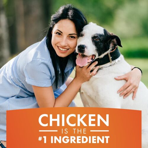 Dog Treats, Chicken Jerky for Dogs, Made with 100% Real Chicken Breast, 16 Ounces, Healthy, Easily Digestible, Long-Lasting, High Protein Dog Treat, Satisfies Dog's Urge to Chew (Pack of 1) - Image 6
