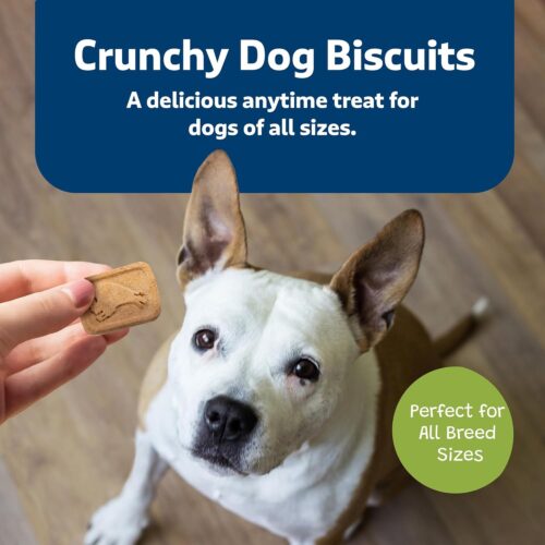 Blue Buffalo Health Bars Crunchy Dog Biscuits, Oven-Baked With Natural Ingredients, Pumpkin & Cinnamon, 16-oz Bag - Image 63