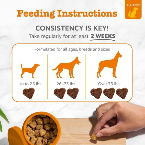 Zesty Paws Dog Allergy Relief- Dog Itching Skin Relief- Dog Probiotics for Itchy Skin and Itchy Ears- Dog Allergy Paw Relief- Dog Allergy Chews- Dog Itch Relief - Dog Skin Allergy Relief - Lamb - 90ct - Image 4