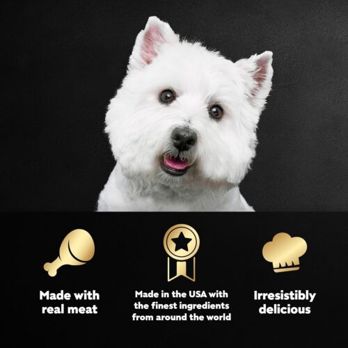 CESAR Adult Wet Dog Food Classic Loaf in Sauce Grilled Chicken, Filet Mignon, Porterhouse Steak, Beef, Chicken & Liver and Turkey Variety Pack, 3.5 oz. Easy Peel Trays, Pack of 36 - Image 37