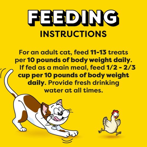 TEMPTATIONS Classic Crunchy and Soft Cat Treats Tasty Chicken Flavor, 16 Ounce (Pack of 1) - Image 7