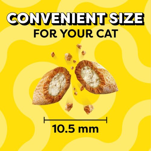 TEMPTATIONS Classic Crunchy and Soft Cat Treats Tasty Chicken Flavor, 16 Ounce (Pack of 1) - Image 9