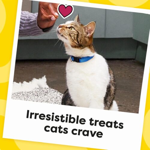 TEMPTATIONS Classic Crunchy and Soft Cat Treats Tasty Chicken Flavor, 16 Ounce (Pack of 1) - Image 10