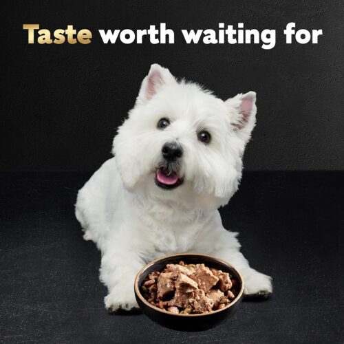 CESAR Adult Wet Dog Food Classic Loaf in Sauce Grilled Chicken, Filet Mignon, Porterhouse Steak, Beef, Chicken & Liver and Turkey Variety Pack, 3.5 oz. Easy Peel Trays, Pack of 36 - Image 131