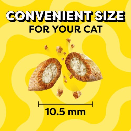 TEMPTATIONS Classic Crunchy and Soft Cat Treats Tasty Chicken Flavor, 16 Ounce (Pack of 1) - Image 22