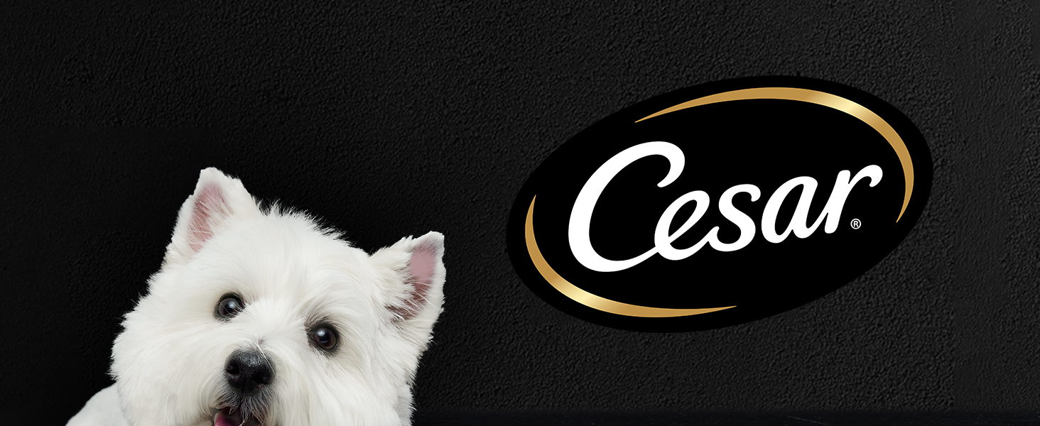 cesar