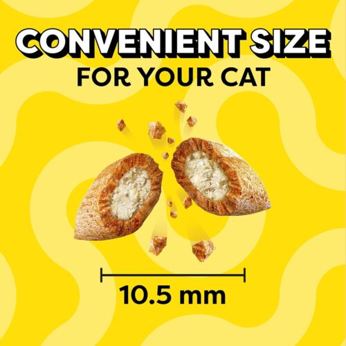 TEMPTATIONS Classic Crunchy and Soft Cat Treats Tasty Chicken Flavor, 16 Ounce (Pack of 1) - Image 48