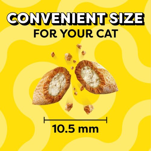 TEMPTATIONS Classic Crunchy and Soft Cat Treats Tasty Chicken Flavor, 16 Ounce (Pack of 1) - Image 61