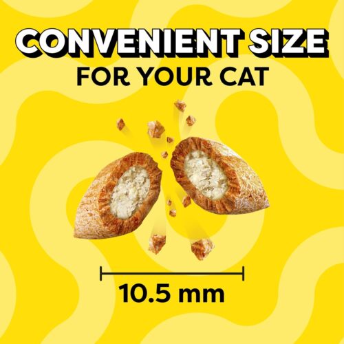 TEMPTATIONS Classic Crunchy and Soft Cat Treats Tasty Chicken Flavor, 16 Ounce (Pack of 1) - Image 72