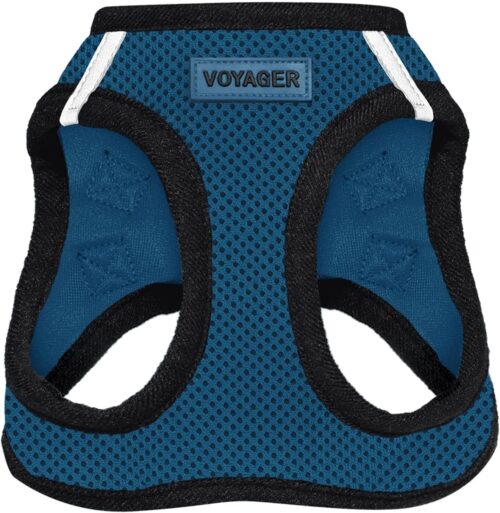 Best Pet Supplies Voyager Step-in Air Dog Harness - All Weather Mesh, Reflective, No Pull Harness for Small, Medium Dogs, Cats - Secure with Hook & Loop Fastener, Buckle, Double D-Rings - Fuchsia, S - Image 2