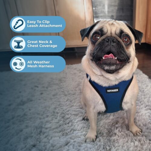 Best Pet Supplies Voyager Step-in Air Dog Harness - All Weather Mesh, Reflective, No Pull Harness for Small, Medium Dogs, Cats - Secure with Hook & Loop Fastener, Buckle, Double D-Rings - Fuchsia, S - Image 4
