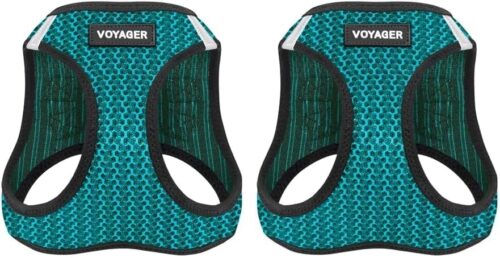 Best Pet Supplies Voyager Step-in Air Dog Harness - All Weather Mesh, Reflective, No Pull Harness for Small, Medium Dogs, Cats - Secure with Hook & Loop Fastener, Buckle, Double D-Rings - Fuchsia, S - Image 12