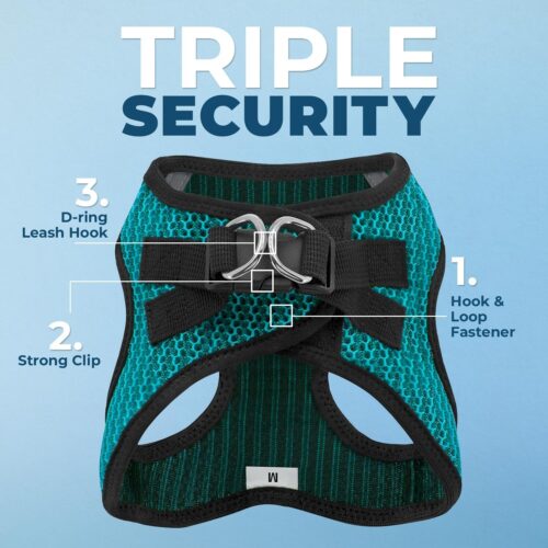 Best Pet Supplies Voyager Step-in Air Dog Harness - All Weather Mesh, Reflective, No Pull Harness for Small, Medium Dogs, Cats - Secure with Hook & Loop Fastener, Buckle, Double D-Rings - Fuchsia, S - Image 13