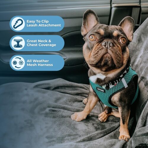 Best Pet Supplies Voyager Step-in Air Dog Harness - All Weather Mesh, Reflective, No Pull Harness for Small, Medium Dogs, Cats - Secure with Hook & Loop Fastener, Buckle, Double D-Rings - Fuchsia, S - Image 15