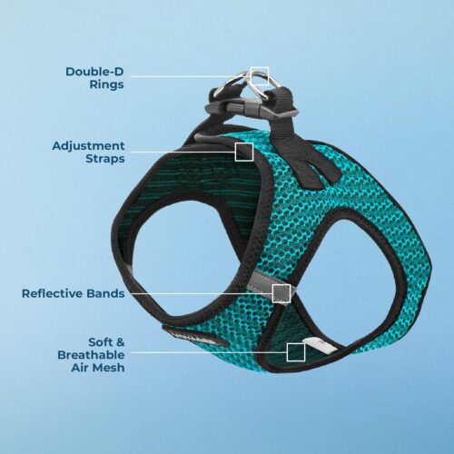 Best Pet Supplies Voyager Step-in Air Dog Harness - All Weather Mesh, Reflective, No Pull Harness for Small, Medium Dogs, Cats - Secure with Hook & Loop Fastener, Buckle, Double D-Rings - Fuchsia, S - Image 16