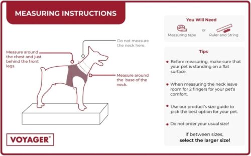 Best Pet Supplies Voyager Step-in Air Dog Harness - All Weather Mesh, Reflective, No Pull Harness for Small, Medium Dogs, Cats - Secure with Hook & Loop Fastener, Buckle, Double D-Rings - Fuchsia, S - Image 22