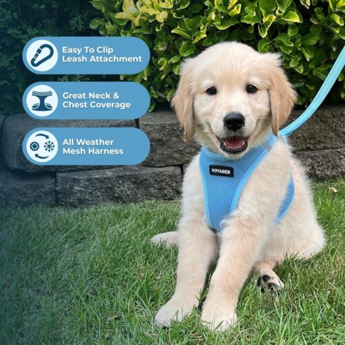 Best Pet Supplies Voyager Step-in Air Dog Harness - All Weather Mesh, Reflective, No Pull Harness for Small, Medium Dogs, Cats - Secure with Hook & Loop Fastener, Buckle, Double D-Rings - Fuchsia, S - Image 25