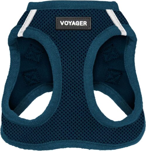 Best Pet Supplies Voyager Step-in Air Dog Harness - All Weather Mesh, Reflective, No Pull Harness for Small, Medium Dogs, Cats - Secure with Hook & Loop Fastener, Buckle, Double D-Rings - Fuchsia, S - Image 33