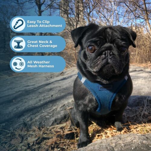 Best Pet Supplies Voyager Step-in Air Dog Harness - All Weather Mesh, Reflective, No Pull Harness for Small, Medium Dogs, Cats - Secure with Hook & Loop Fastener, Buckle, Double D-Rings - Fuchsia, S - Image 35