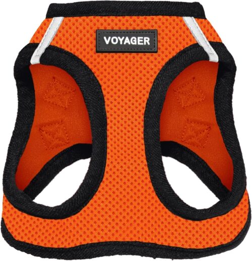 Best Pet Supplies Voyager Step-in Air Dog Harness - All Weather Mesh, Reflective, No Pull Harness for Small, Medium Dogs, Cats - Secure with Hook & Loop Fastener, Buckle, Double D-Rings - Fuchsia, S - Image 42