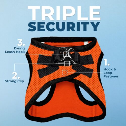 Best Pet Supplies Voyager Step-in Air Dog Harness - All Weather Mesh, Reflective, No Pull Harness for Small, Medium Dogs, Cats - Secure with Hook & Loop Fastener, Buckle, Double D-Rings - Fuchsia, S - Image 43