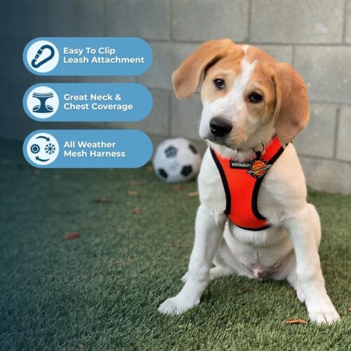 Best Pet Supplies Voyager Step-in Air Dog Harness - All Weather Mesh, Reflective, No Pull Harness for Small, Medium Dogs, Cats - Secure with Hook & Loop Fastener, Buckle, Double D-Rings - Fuchsia, S - Image 44