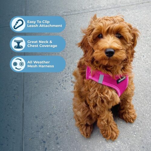 Best Pet Supplies Voyager Step-in Air Dog Harness - All Weather Mesh, Reflective, No Pull Harness for Small, Medium Dogs, Cats - Secure with Hook & Loop Fastener, Buckle, Double D-Rings - Fuchsia, S - Image 51