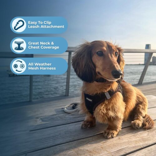Best Pet Supplies Voyager Step-in Air Dog Harness - All Weather Mesh, Reflective, No Pull Harness for Small, Medium Dogs, Cats - Secure with Hook & Loop Fastener, Buckle, Double D-Rings - Fuchsia, S - Image 60