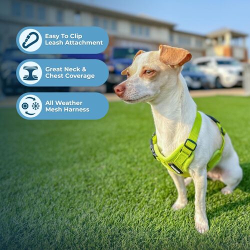 Best Pet Supplies Voyager Step-in Air Dog Harness - All Weather Mesh, Reflective, No Pull Harness for Small, Medium Dogs, Cats - Secure with Hook & Loop Fastener, Buckle, Double D-Rings - Fuchsia, S - Image 70