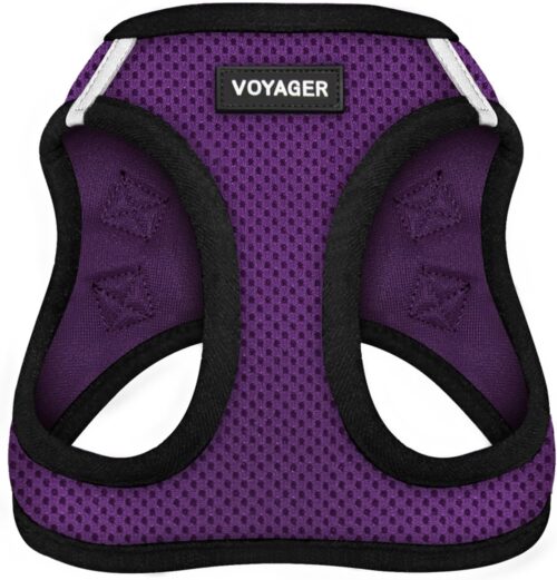 Best Pet Supplies Voyager Step-in Air Dog Harness - All Weather Mesh, Reflective, No Pull Harness for Small, Medium Dogs, Cats - Secure with Hook & Loop Fastener, Buckle, Double D-Rings - Fuchsia, S - Image 76