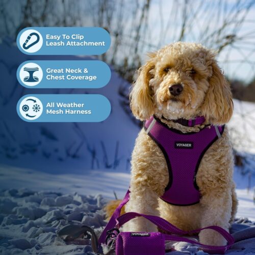 Best Pet Supplies Voyager Step-in Air Dog Harness - All Weather Mesh, Reflective, No Pull Harness for Small, Medium Dogs, Cats - Secure with Hook & Loop Fastener, Buckle, Double D-Rings - Fuchsia, S - Image 78