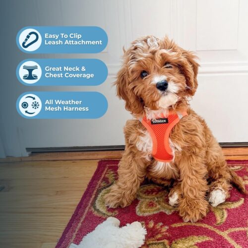 Best Pet Supplies Voyager Step-in Air Dog Harness - All Weather Mesh, Reflective, No Pull Harness for Small, Medium Dogs, Cats - Secure with Hook & Loop Fastener, Buckle, Double D-Rings - Fuchsia, S - Image 87