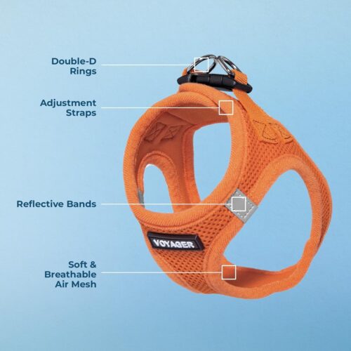 Best Pet Supplies Voyager Step-in Air Dog Harness - All Weather Mesh, Reflective, No Pull Harness for Small, Medium Dogs, Cats - Secure with Hook & Loop Fastener, Buckle, Double D-Rings - Fuchsia, S - Image 88