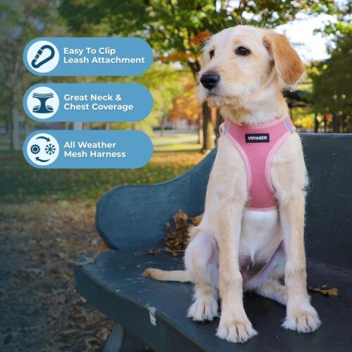Best Pet Supplies Voyager Step-in Air Dog Harness - All Weather Mesh, Reflective, No Pull Harness for Small, Medium Dogs, Cats - Secure with Hook & Loop Fastener, Buckle, Double D-Rings - Fuchsia, S - Image 96
