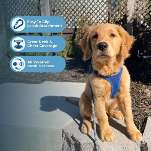 Best Pet Supplies Voyager Step-in Air Dog Harness - All Weather Mesh, Reflective, No Pull Harness for Small, Medium Dogs, Cats - Secure with Hook & Loop Fastener, Buckle, Double D-Rings - Fuchsia, S - Image 106